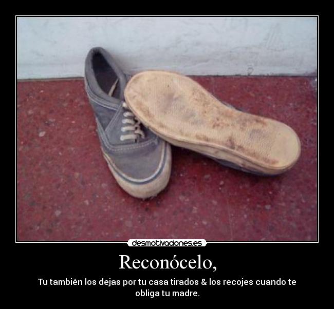 Reconócelo, - Tu también los dejas por tu casa tirados & los recojes cuando te obliga tu madre.