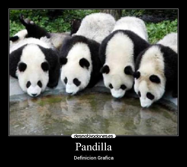 Pandilla -