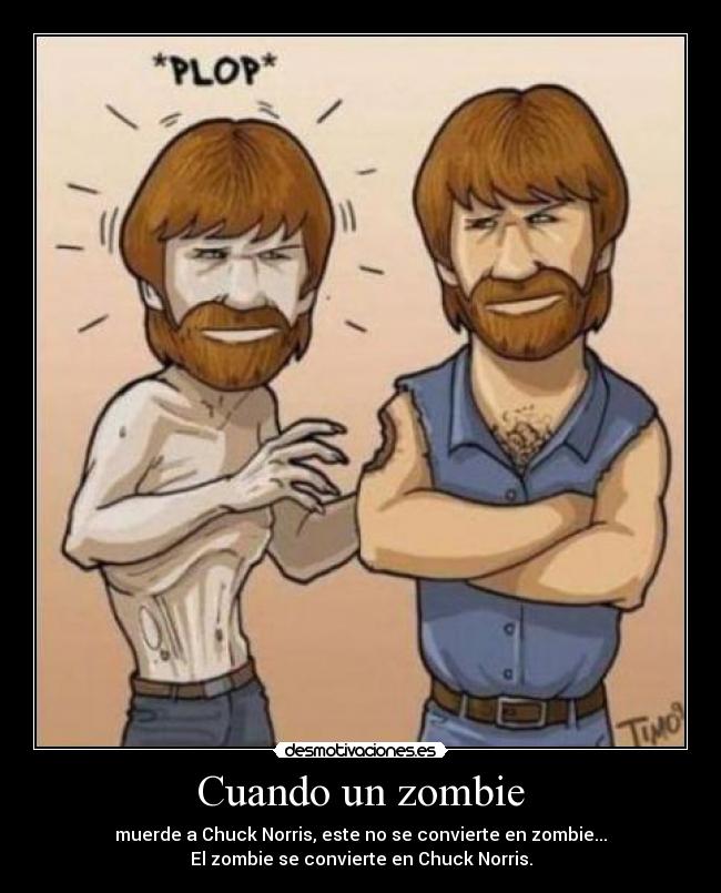 carteles chuck norris desmotivaciones