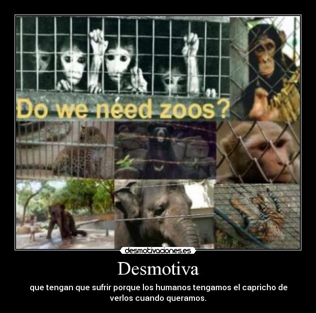 Desmotiva - que tengan que sufrir porque los humanos tengamos el capricho de
verlos cuando queramos.
