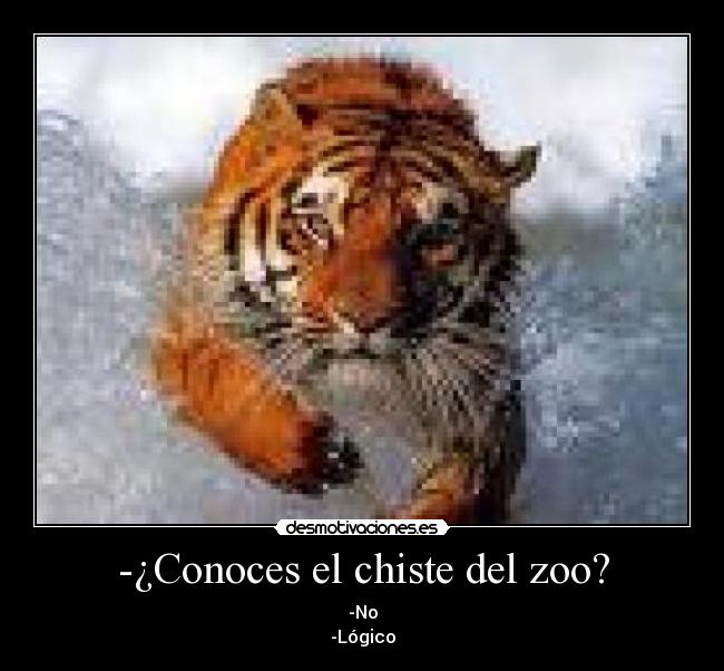 -¿Conoces el chiste del zoo? - 