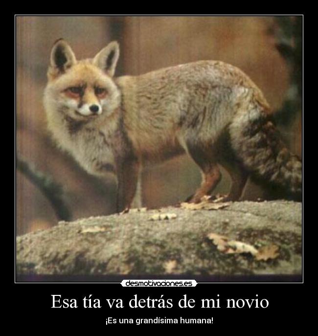 Esa tía va detrás de mi novio - ¡Es una grandísima humana!