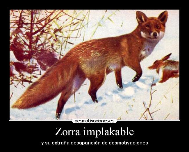 Zorra implakable - y su extraña desaparición de desmotivaciones