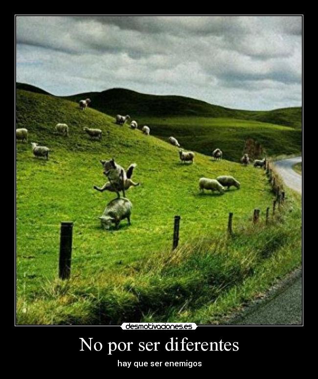 No por ser diferentes - hay que ser enemigos