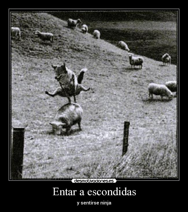 Entar a escondidas -