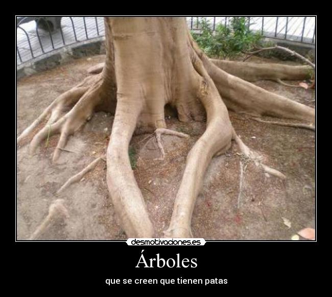 Árboles - que se creen que tienen patas