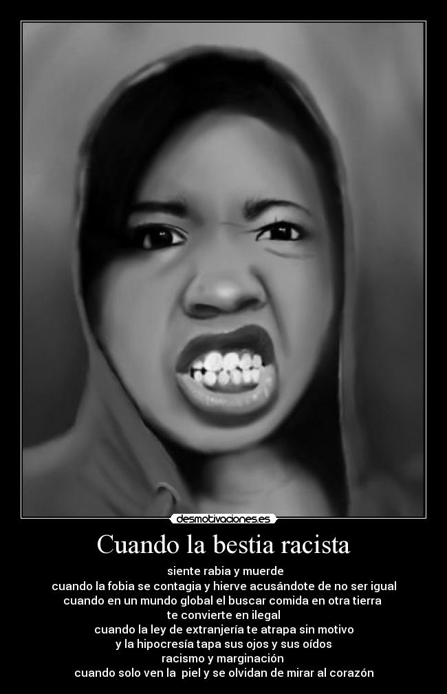 carteles racismo desmotivaciones