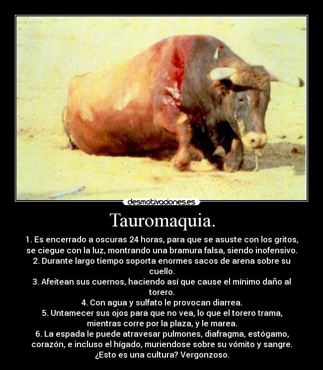 Tauromaquia. - 