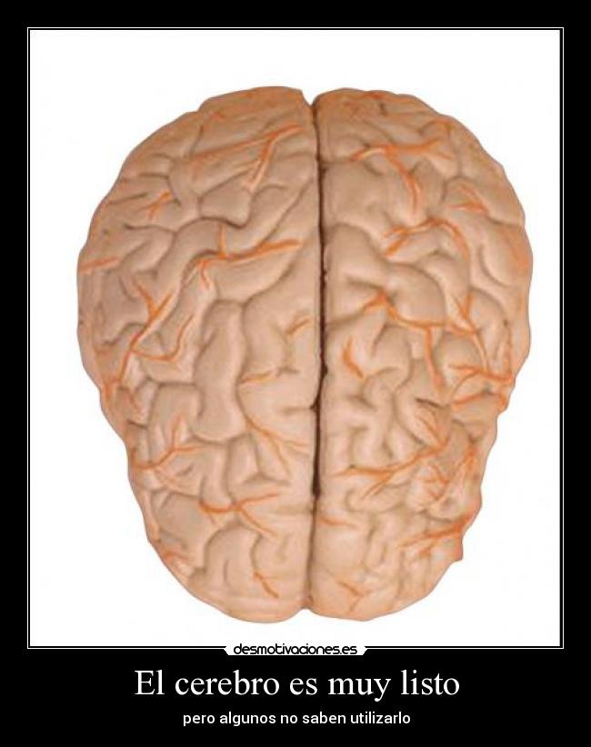 El cerebro es muy listo -