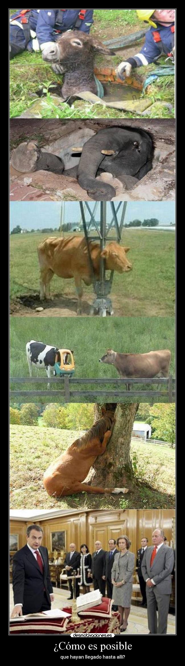 ¿Cómo es posible - que hayan llegado hasta allí?