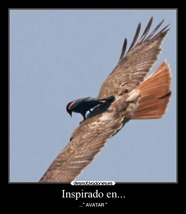 Inspirado en... - 