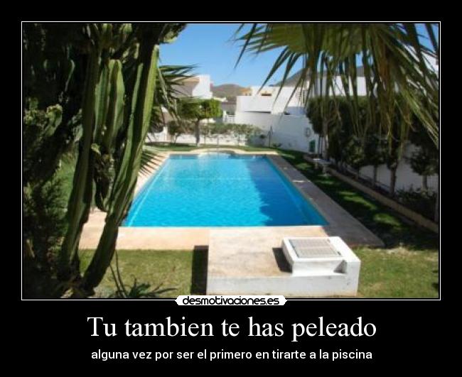 Tu tambien te has peleado - alguna vez por ser el primero en tirarte a la piscina