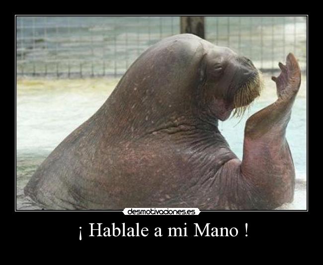 ¡ Hablale a mi Mano ! -