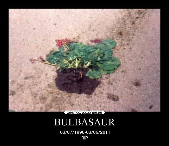 BULBASAUR - 