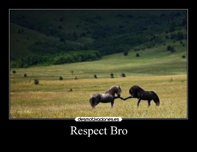 carteles bro desmotivaciones