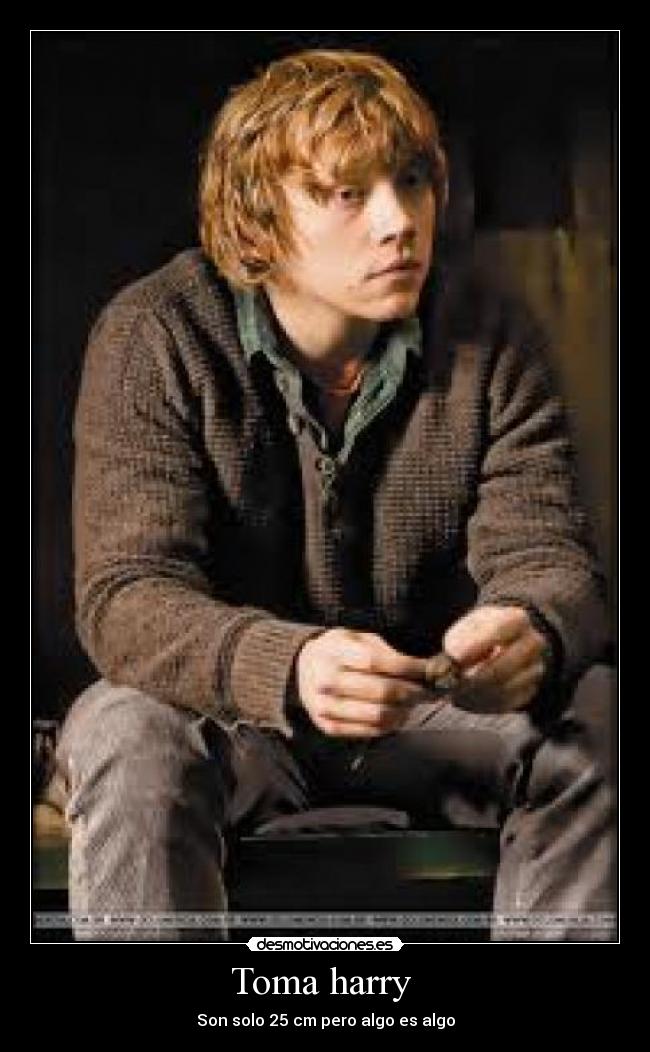 Toma harry - Son solo 25 cm pero algo es algo