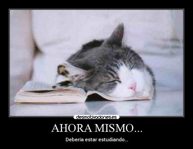 carteles 2 desmotivaciones