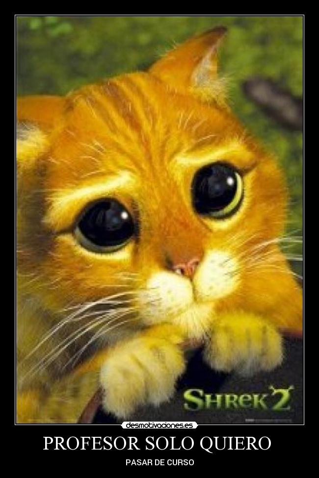 PROFESOR SOLO QUIERO -