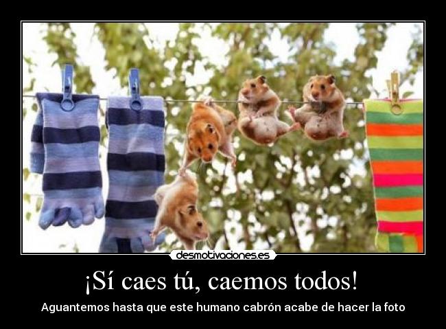 ¡Sí caes tú, caemos todos! -