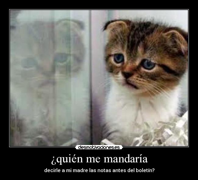 carteles  desmotivaciones