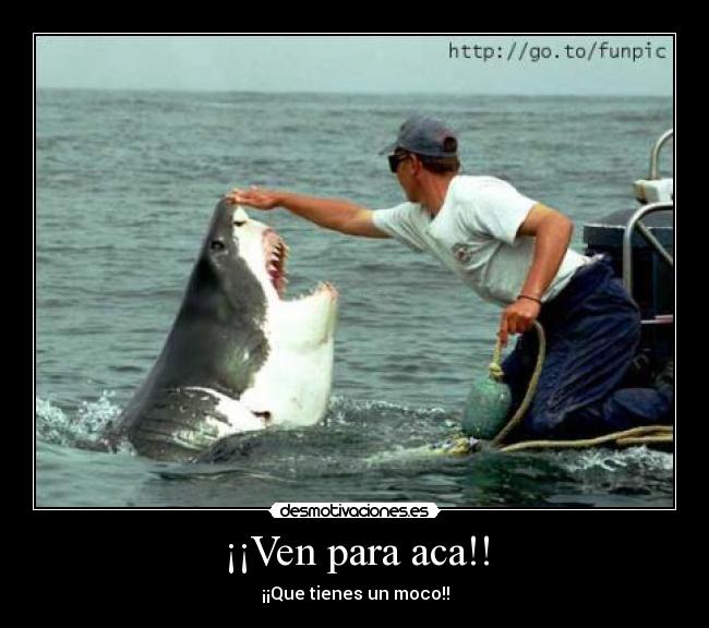 ¡¡Ven para aca!! - 