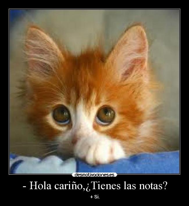 - Hola cariño,¿Tienes las notas? - + Si.