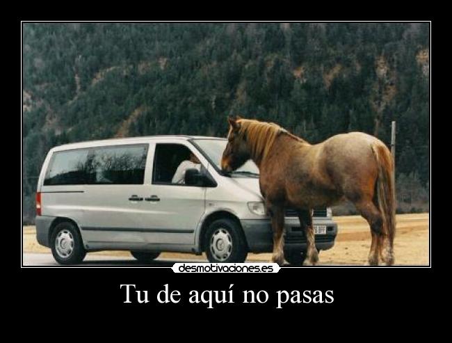 Tu de aquí no pasas -