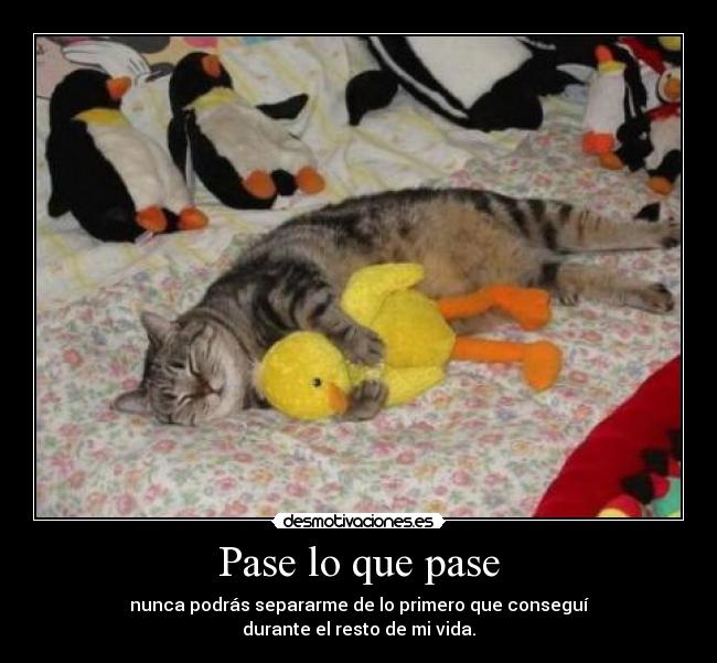 Pase lo que pase - nunca podrás separarme de lo primero que conseguí
durante el resto de mi vida.