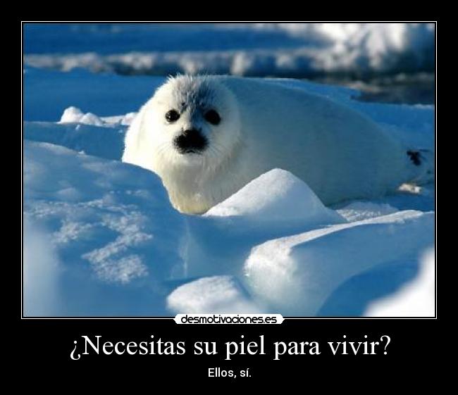 ¿Necesitas su piel para vivir? -