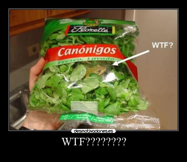 WTF???????? - 