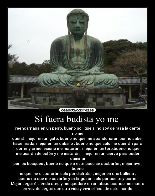 Si fuera budista yo me -