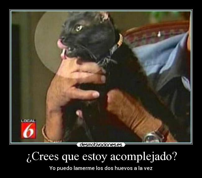 ¿Crees que estoy acomplejado? - 