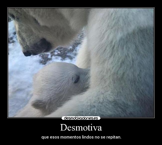 Desmotiva - que esos momentos lindos no se repitan.