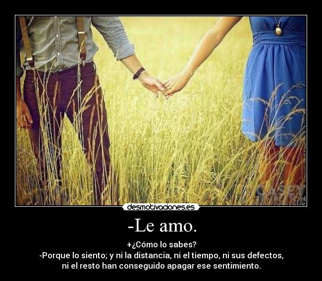 -Le amo. - 
