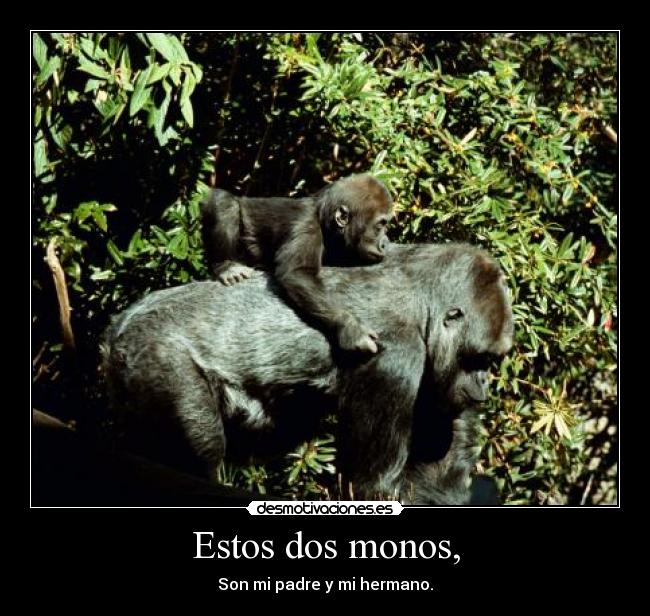 Estos dos monos, - Son mi padre y mi hermano.