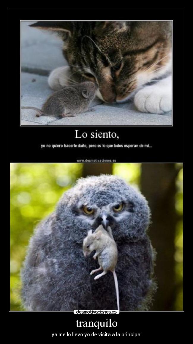 carteles buho raton gatostranquilo desmotivaciones