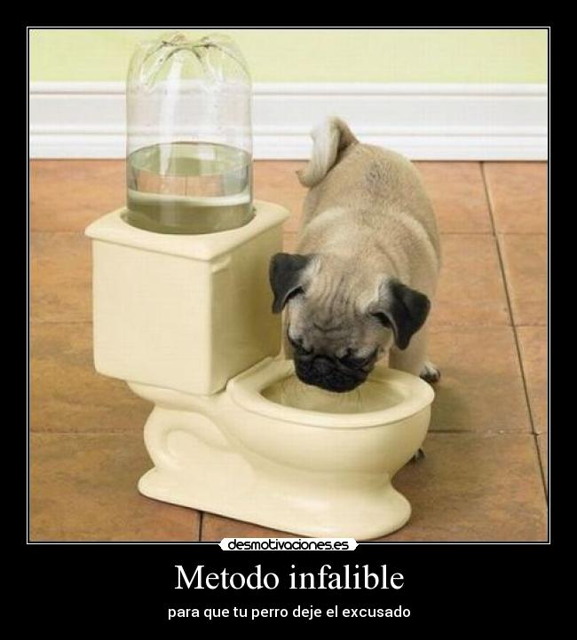 Metodo infalible -