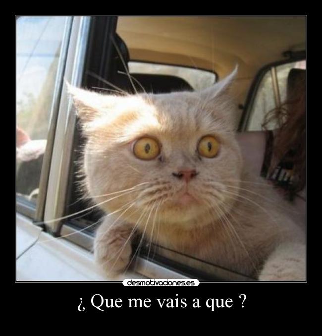 ¿ Que me vais a que ? - 
