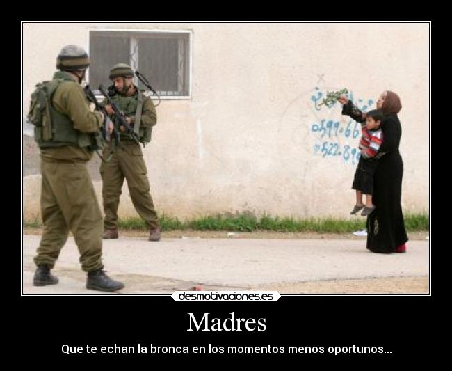 Madres - 