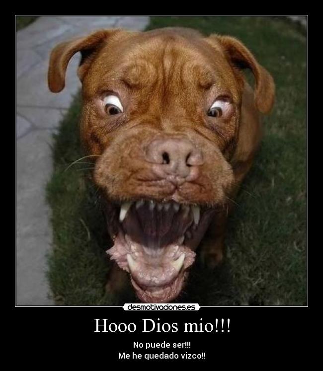 Hooo Dios mio!!! - No puede ser!!!
Me he quedado vizco!!