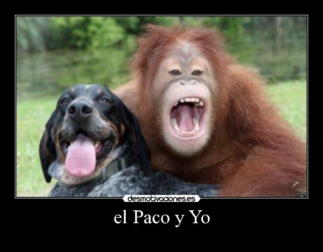el Paco y Yo -