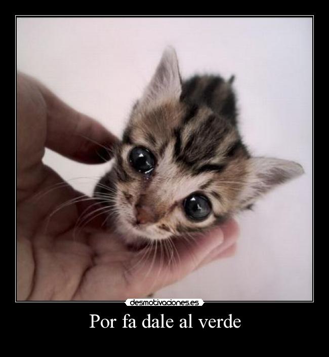 Por fa dale al verde -