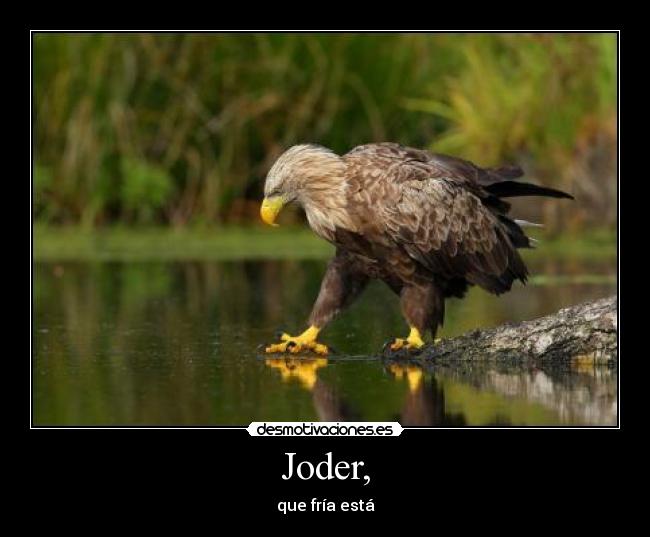 Joder, - que fría está