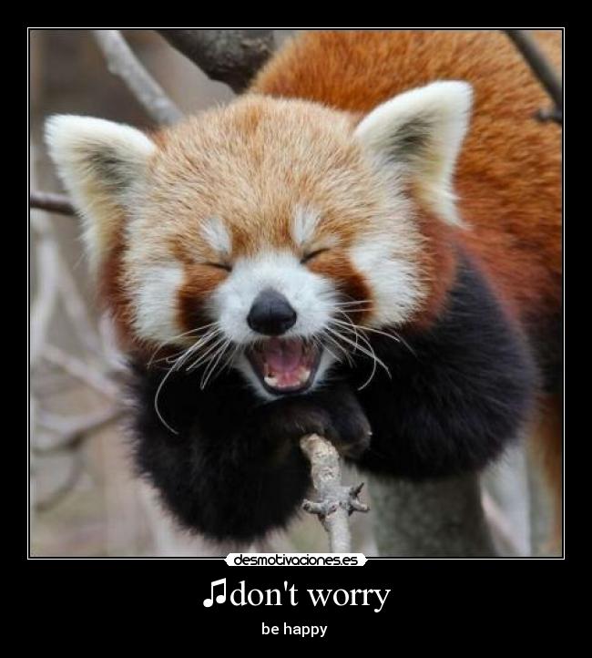 ♫dont worry - 