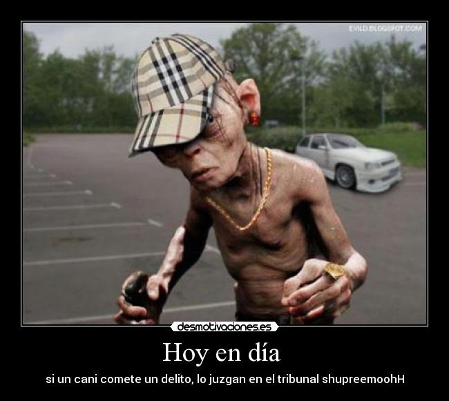 Hoy en día  - si un cani comete un delito, lo juzgan en el tribunal shupreemoohH