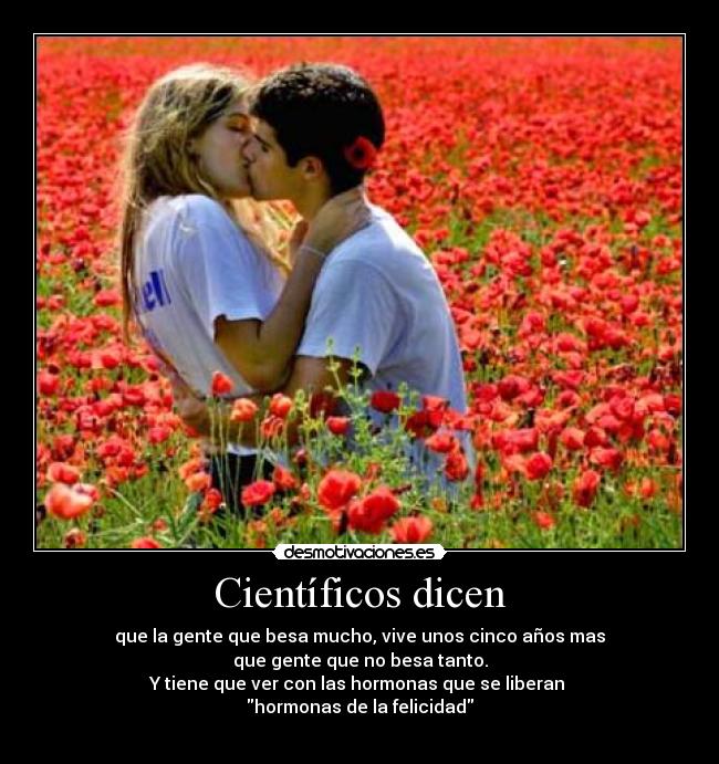 carteles kisses desmotivaciones