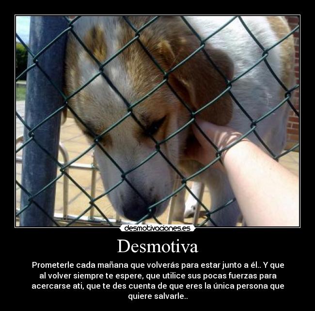 Desmotiva -