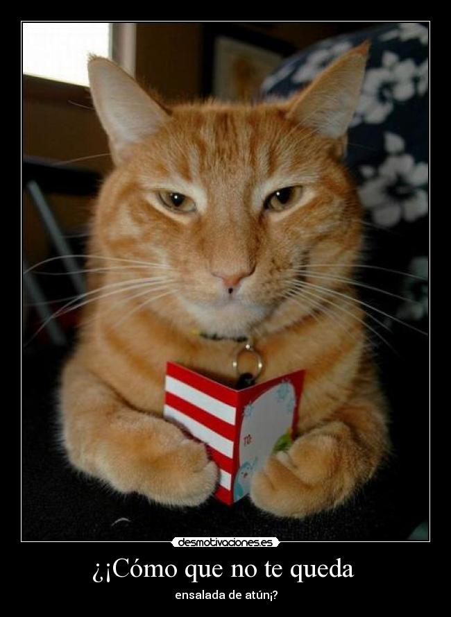 ¿¡Cómo que no te queda -