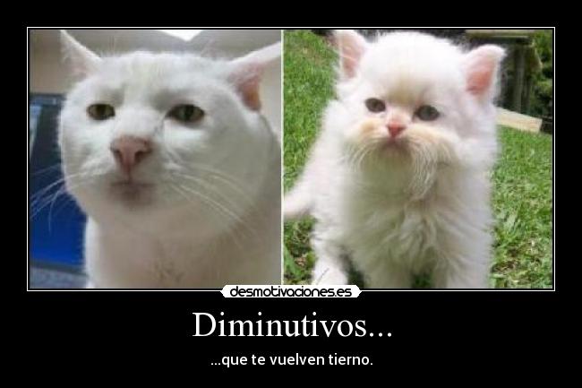 Diminutivos... - 