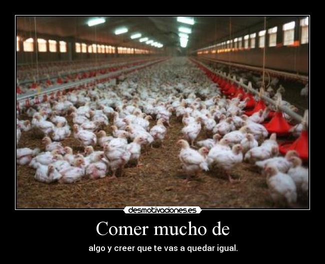 Comer mucho de - algo y creer que te vas a quedar igual.